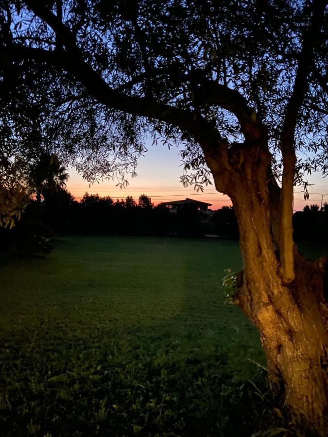 Villa Sarda Assemini Exteriér fotografie